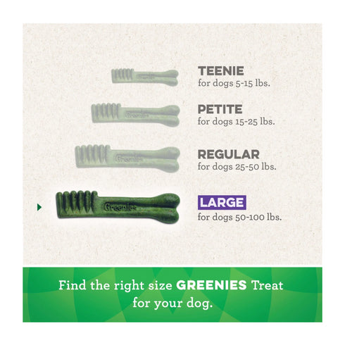 Greenies Large Chewy Dog Dental Treats 36oz - Poudre Pet and Feed Supply